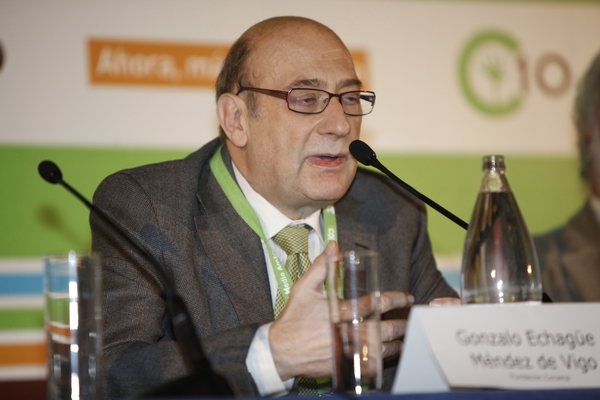 Gonzalo Echage Mndez de Vigo