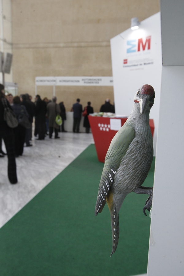 Stand Comunidad de Madrid 2